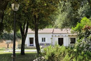 Domaine de Bracciole