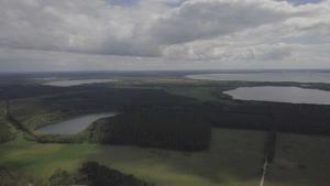 Ferienwohnung `Schwanennest