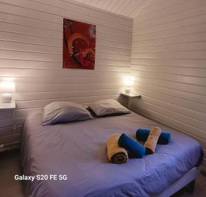 LES CHALETS de MONTORGUEIL : Chalet