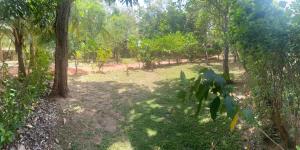 Araliya garden nature resort dambulla
