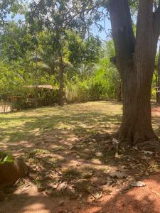 Araliya garden nature resort dambulla