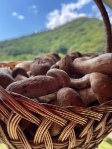 Апартаменты Solnce Karpat