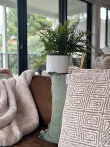 2BR Charlestown Guesthouse Coastal Views Breakfast