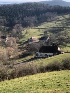 Maisons de vacances Maison pittoresque a Sainte-Croix-aux-Mines, vue sur la montagne : photos des chambres