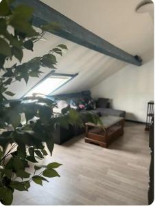 Maisons de vacances Le Petit Chanteloup : photos des chambres