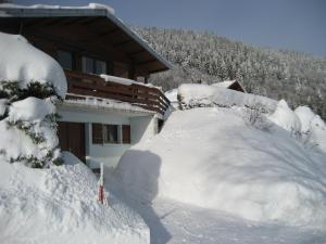 Chalets Chalet Les Jonquilles : photos des chambres