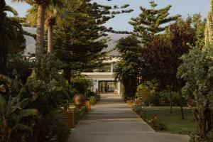 Phāea Cretan Malia, a Member of Design Hotels