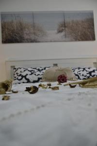 Dimora Montessori - Vasto Centro Storico Apartment