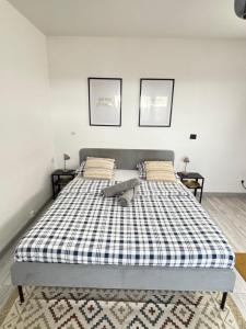 Soh Rent Strasbourg Wifi Terrasse St Aloise