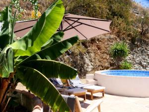 Cortijo el Abejaruco