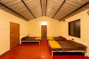 Dandeli Adventure jungle hill