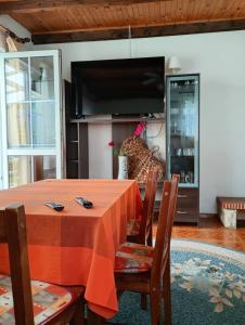 Apartament Zielona Przystań