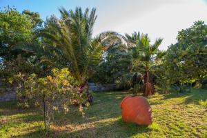 Akrogiali Apartments Limnos Greece