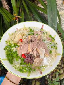 Hoa Hải Đường Ba Vì