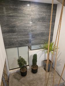 sabina nuevo aeropuerto x12