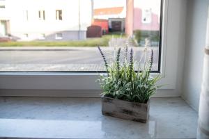 Am Seeufer 59b Fewo Seensucht