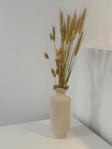 Calm Joy & J - Alley