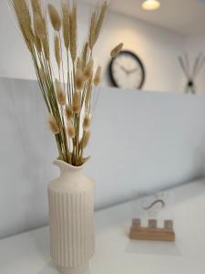 Calm Joy & J - Alley