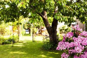 Hafenhaus Bootsquartier