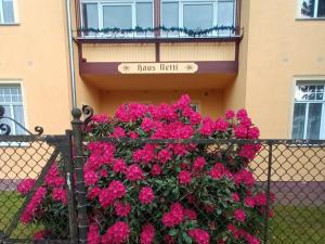 KOS - Haus Netti