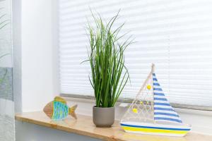 Ferienwohnungen im Haus Strandkorb