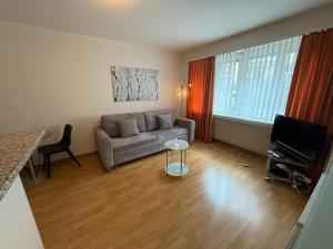 Nice 1BR flat in the city center - Crown 3