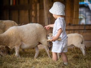 Complexes hoteliers Camping Valloire-sur-Cisse : photos des chambres