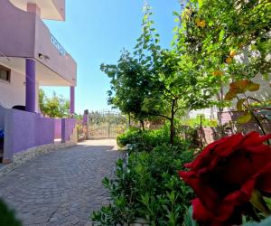 Casa Purple