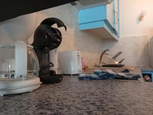 Appartements Le Pourquoi Pas Wi-Fi Gratuite : photos des chambres
