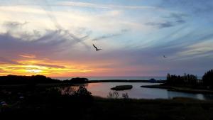 Ferienpark - Haus C, App 0C0411