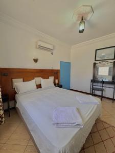 Hotel LArganier dAmmelne-Tafraout