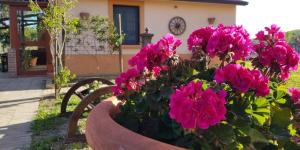 Agriturismo la Mandragola Relais