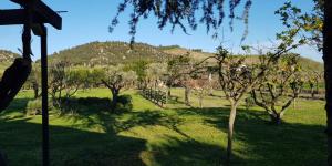 Agriturismo la Mandragola Relais