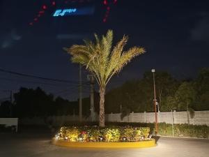 Spectacular Home in Primaveral Residences 2