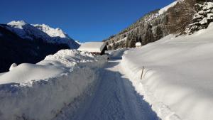 Bergfee Natur Appartements