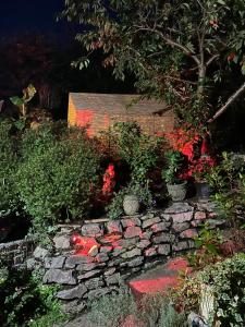 Bumblebee Cottage Lakeside Property