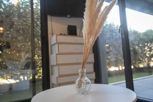 Appartements Xena - Studio with terrace Aspretto - by TGB : photos des chambres