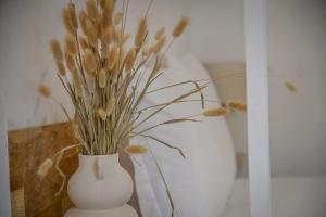 Appartements Xena - Studio with terrace Aspretto - by TGB : photos des chambres