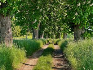 Ferienhaus "Am Flachsee"