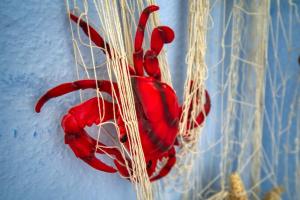 Ferienpark - Haus N, App 0N0803