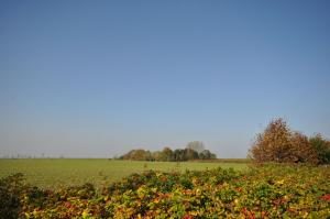 Nr 87 - Ferienhaus Uferstraße
