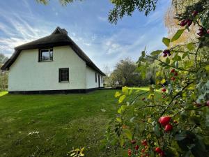 Ferienhaus mit Reetdach