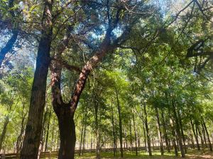 City World Apartment