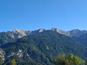 Ferienwohnung Grünspecht