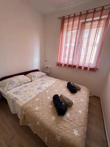 Apartment in Medulin with Four-Bedrooms 1