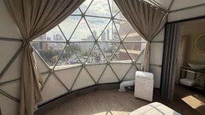 Umbral Sky Domes in Roma Norte