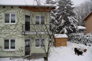 Zinnowitz Waldstr 8b Fewo OG neu