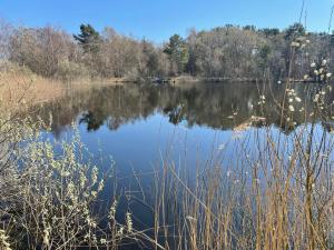 Strandwohnung direkt am Meer - Whg 32