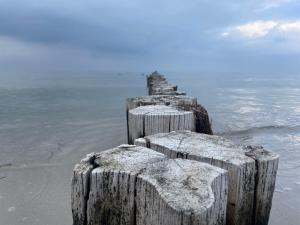 Strandwohnung direkt am Meer - Whg 32