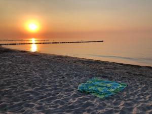Strandwohnung direkt am Meer - Whg 32